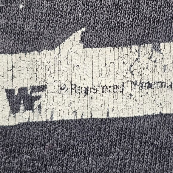 Vintage Jake the Snake DDT Mens Medium sleeveless T-Shirt WWF Wrestling - Picture 8 of 16